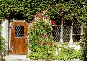 Fenster und Türen Regensburg Oberpfalz Bayern