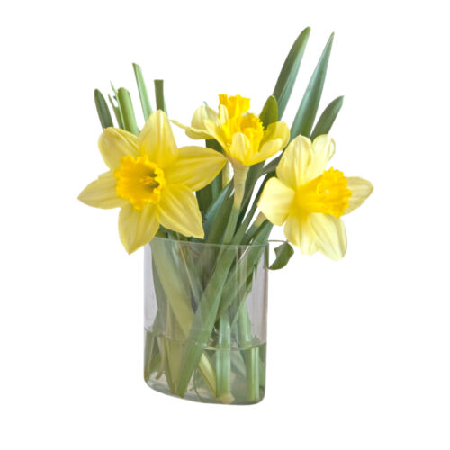 Serien Blumenvasengestaltung im Jahreswechsel