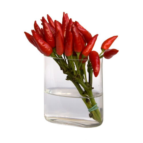 Serien Blumenvasengestaltung im Jahreswechsel